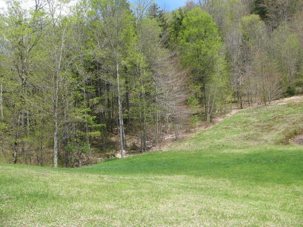 188 South Hill Road Pittsfield, VT 05762 - Photo 22 of 28