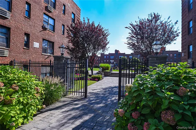 a view of a garden with a bench