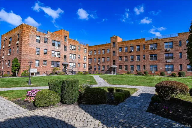 a view of a big yard and a large tree