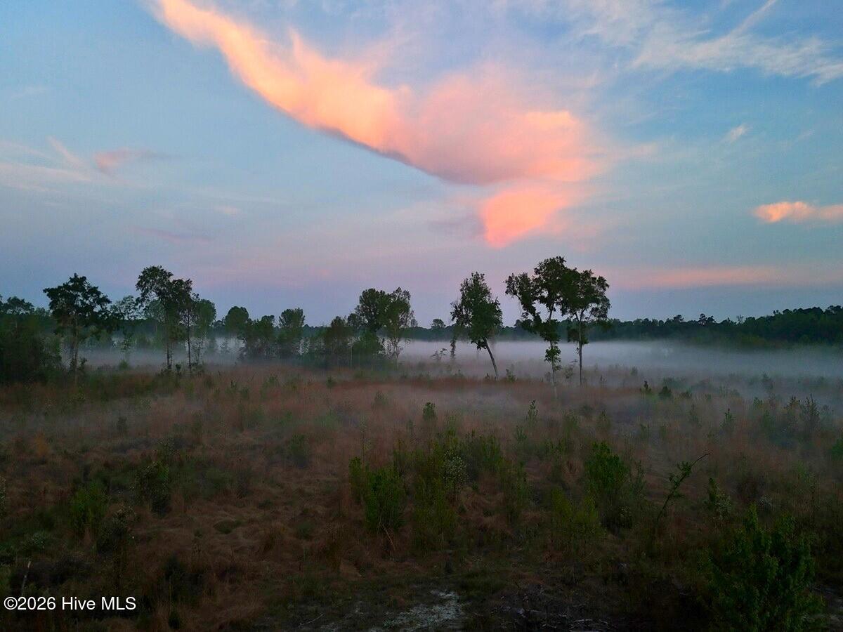 0 Durwood Evans Road Beulaville, NC 28518 - Photo 25 of 68 25.