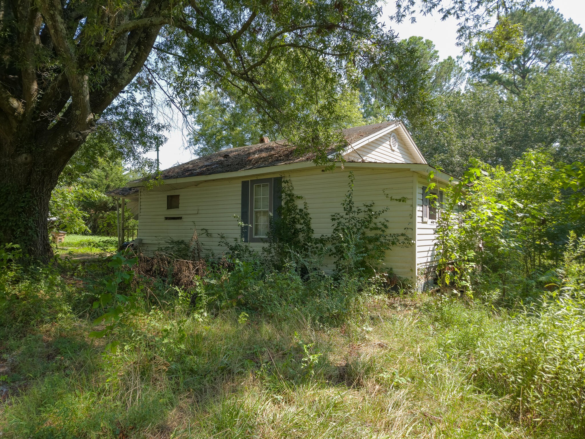 631 Bryson Road Dalton, GA 30721 - Photo 4 of 7