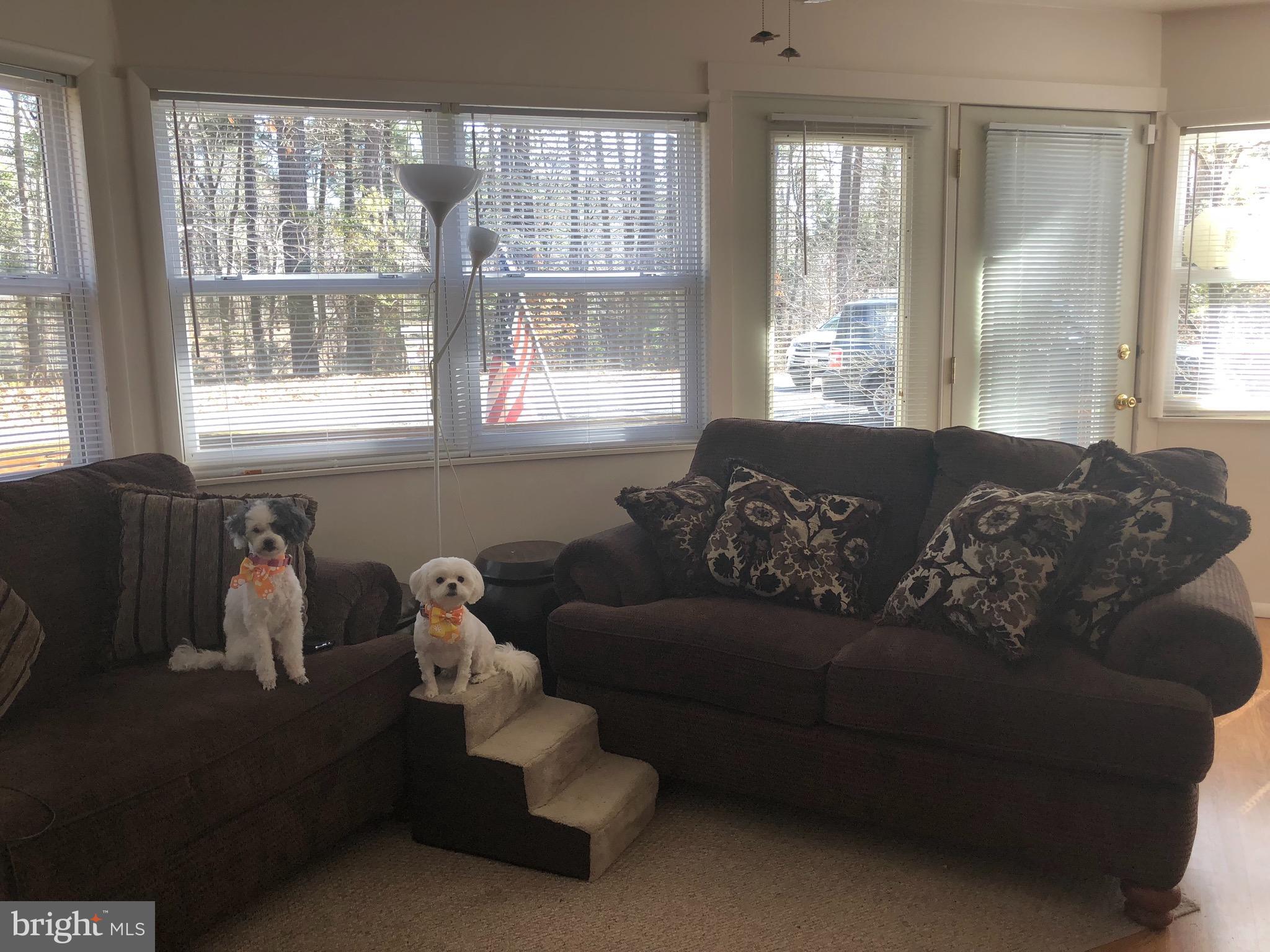 11519 San Rafael Road Lusby, MD 20657 - Photo 6 of 20 Living Room