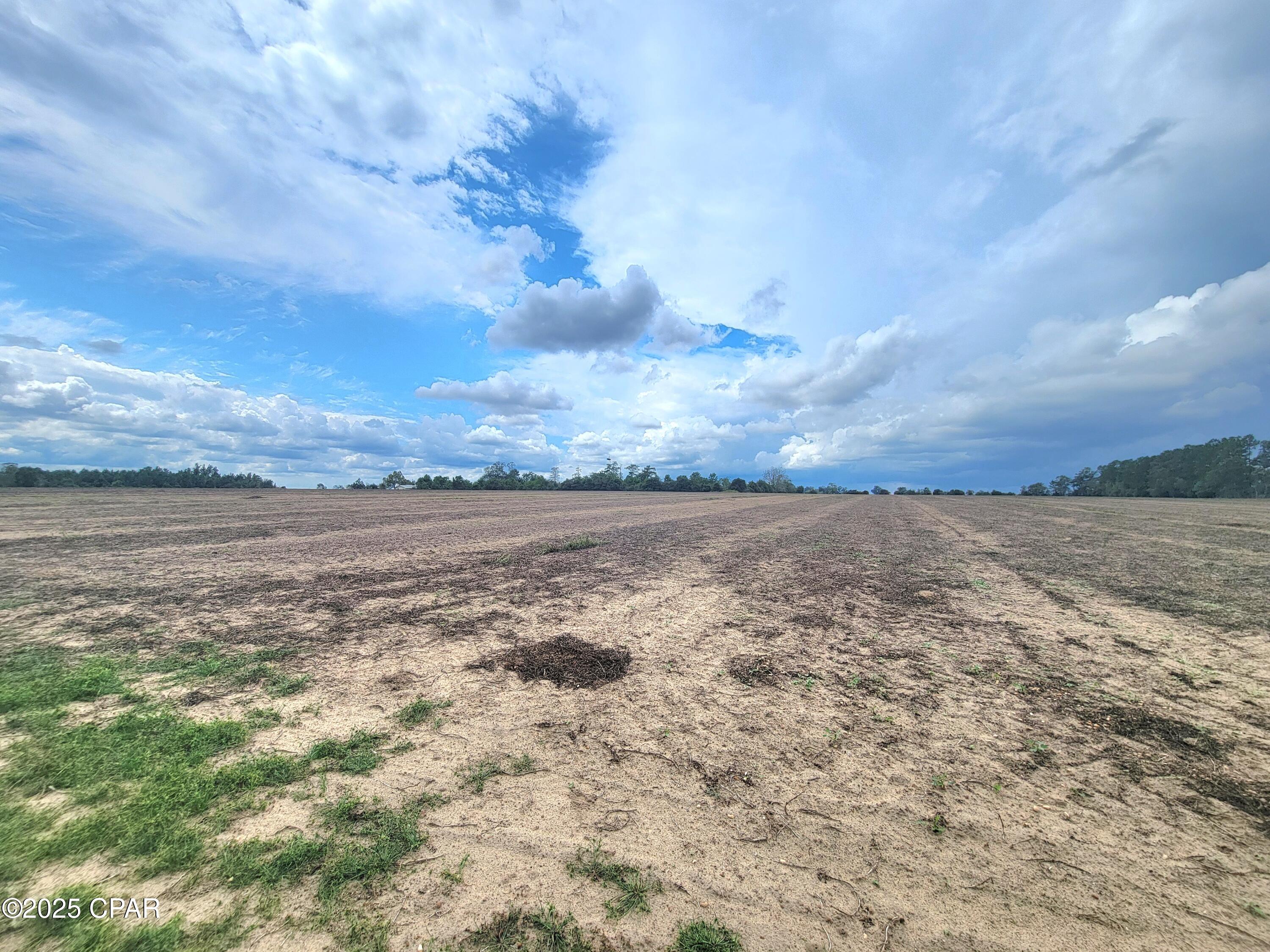 0 Reno Road Marianna, FL 32448 - Photo 9 of 13 Gallery Image 9