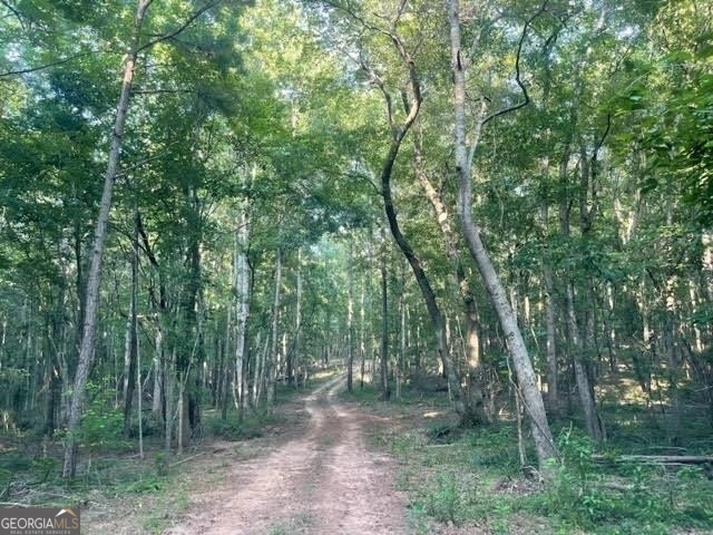 0 Nazareth Church Road Zebulon, GA 30295 - Photo 1 of 1