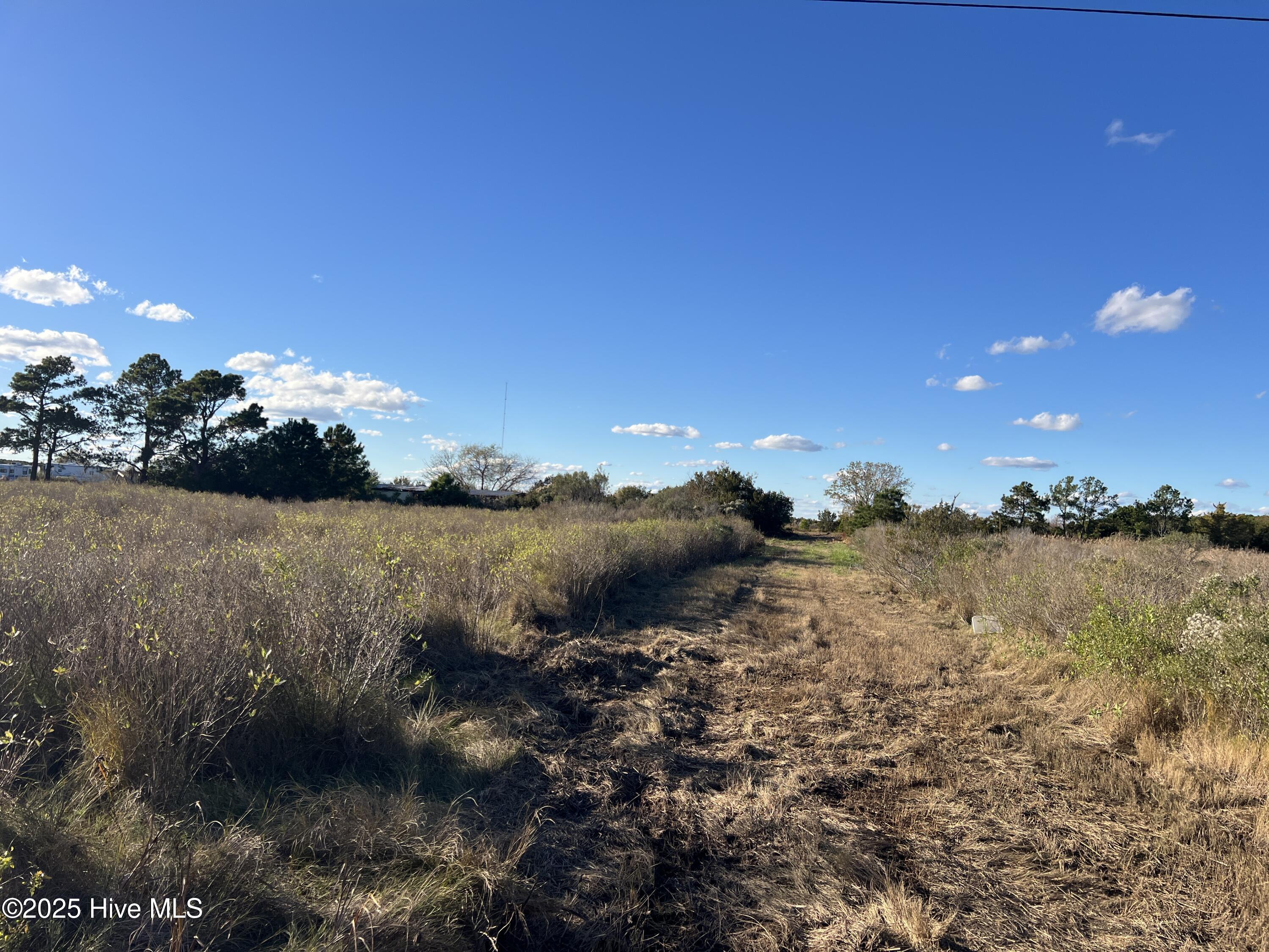 1507 White Plains Road Engelhard, NC 27824 - Photo 7 of 16 IMG_5115