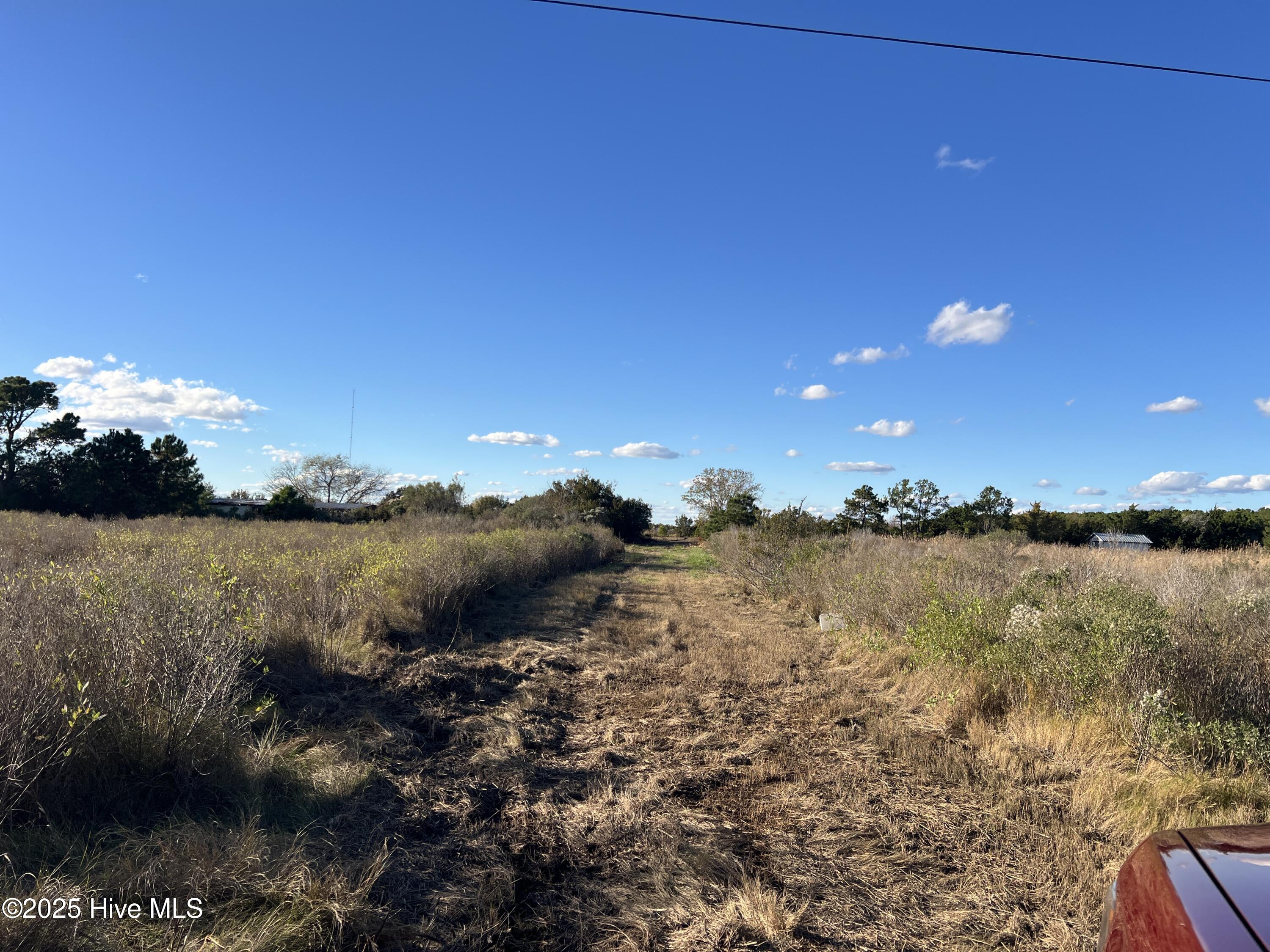 1507 White Plains Road Engelhard, NC 27824 - Photo 8 of 16 IMG_5116