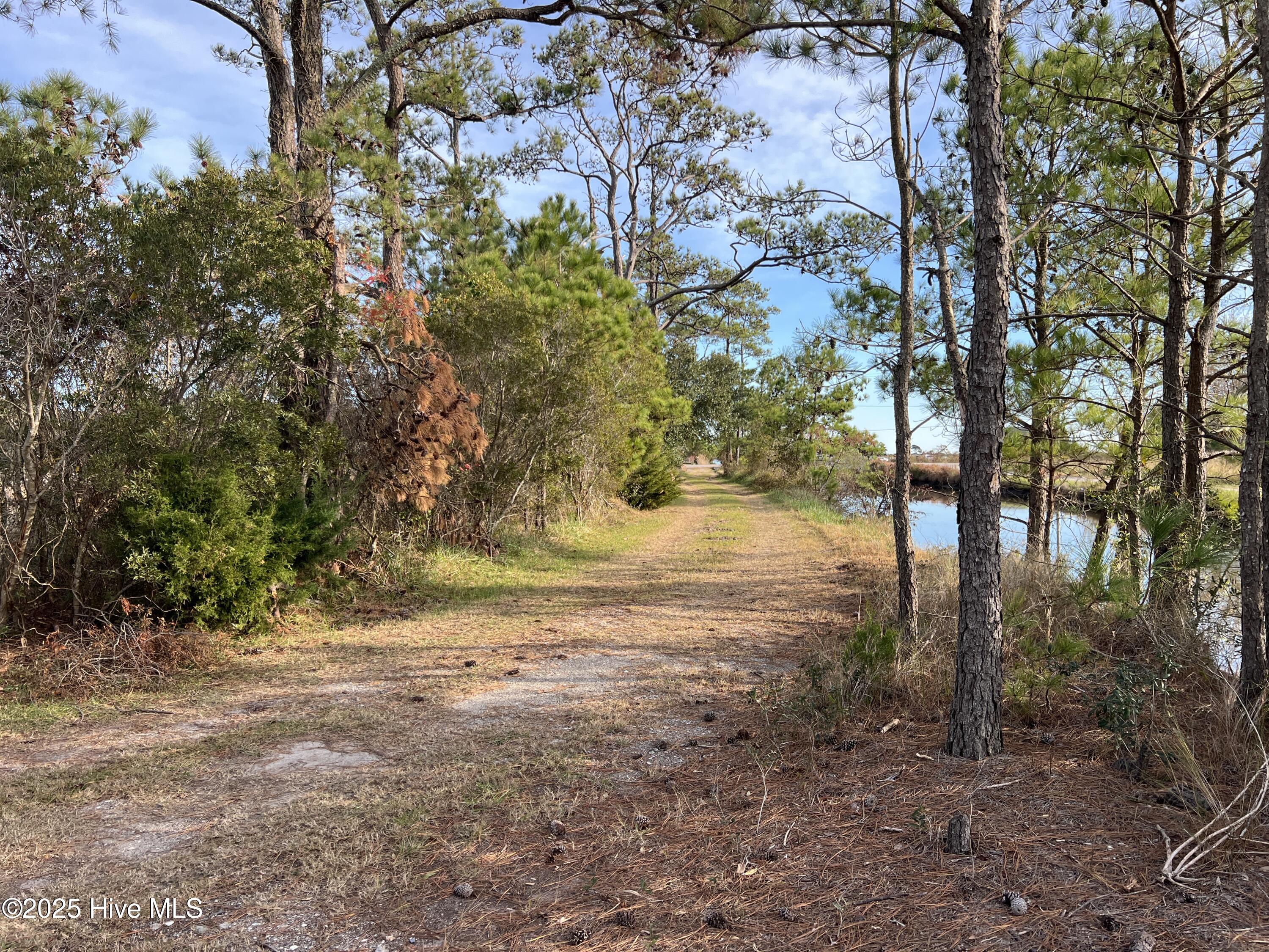 1507 White Plains Road Engelhard, NC 27824 - Photo 10 of 16 IMG_5164