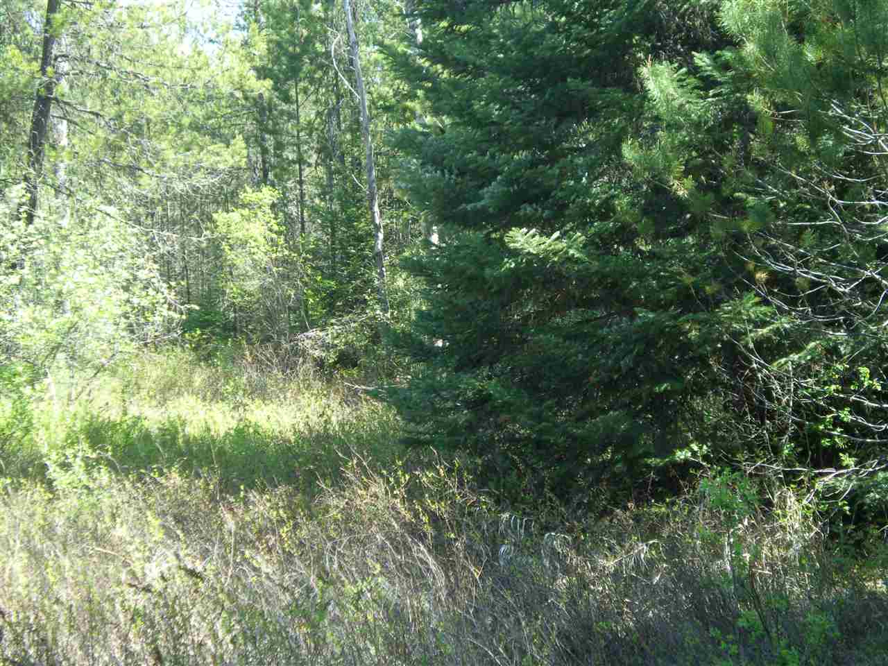 5142 Westside Calispel Road Usk, WA 99180 - Photo 19 of 33 Gallery Image 19