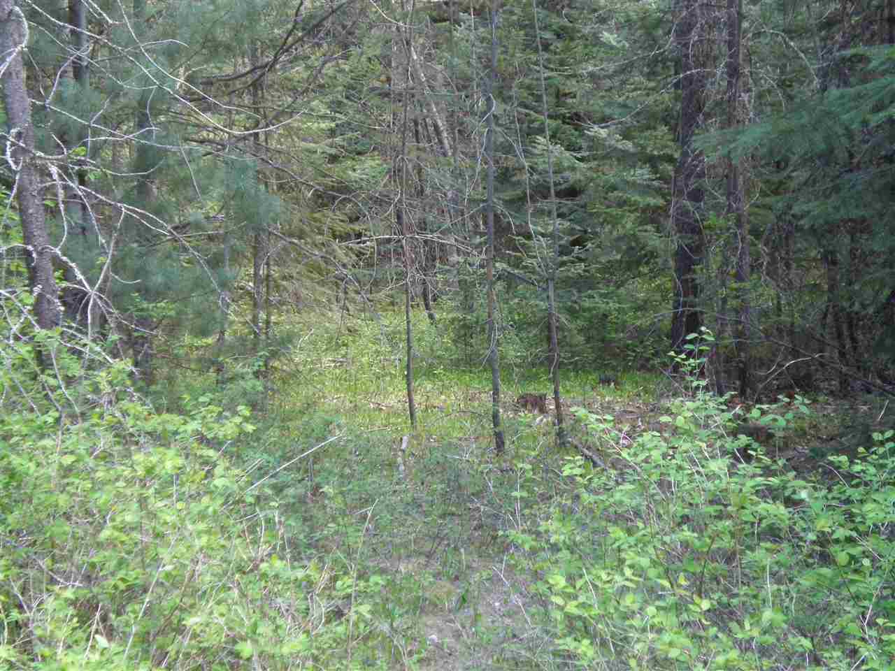5142 Westside Calispel Road Usk, WA 99180 - Photo 20 of 33 Gallery Image 20