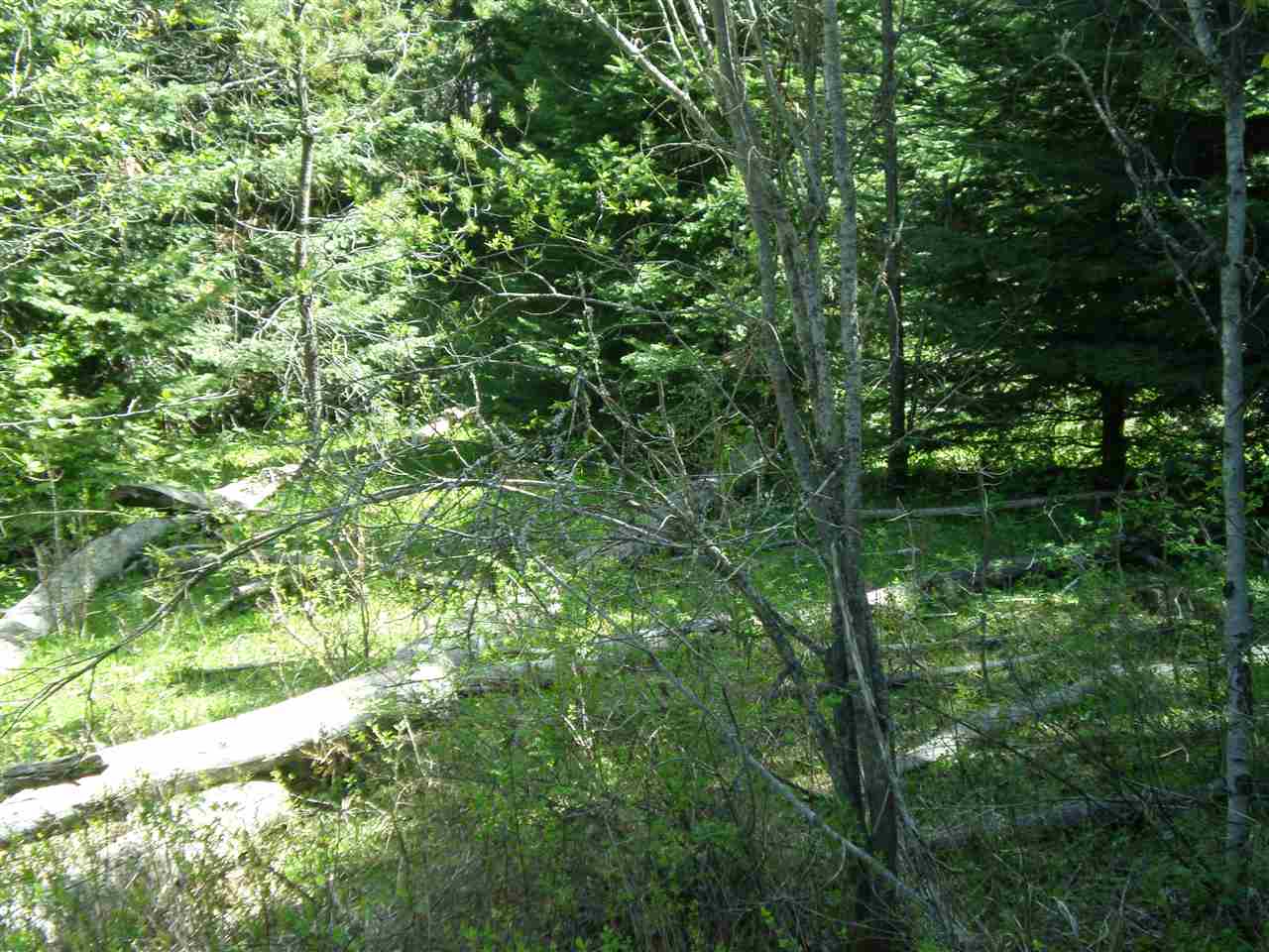 5142 Westside Calispel Road Usk, WA 99180 - Photo 21 of 33 Gallery Image 21