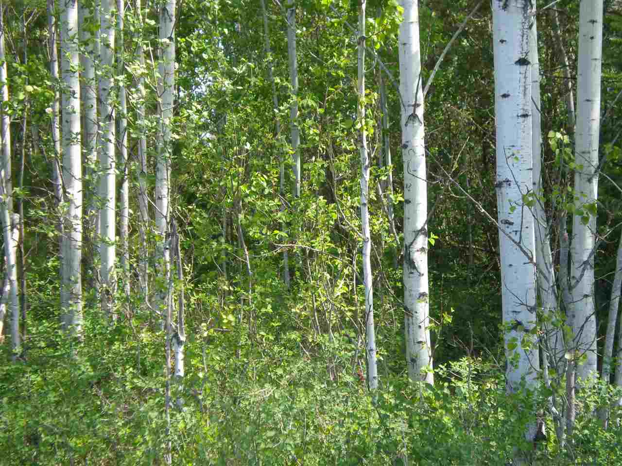5142 Westside Calispel Road Usk, WA 99180 - Photo 22 of 33 Gallery Image 22