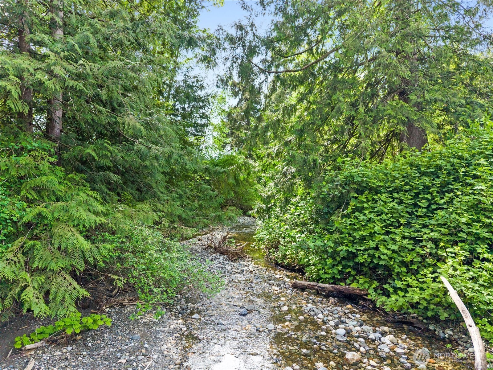 6896 Goodwin Road Everson, WA 98247 - Photo 35 of 36