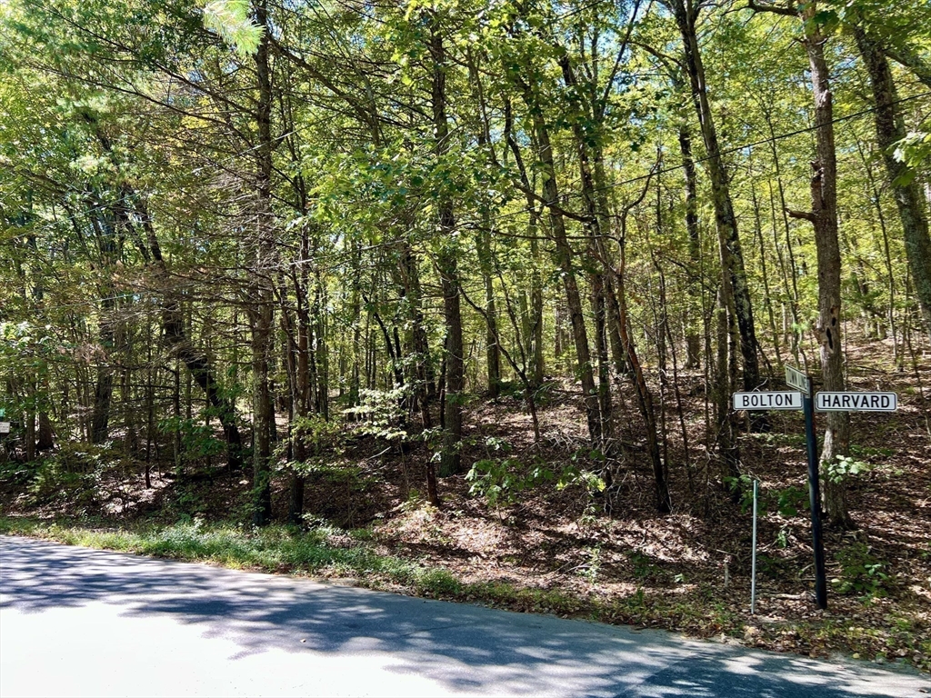 90 Corn Road Bolton, MA 01740 - Photo 4 of 11 a view of a tree in front of a house