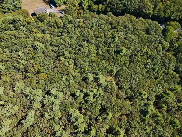 a view of a large yard with lots of green space