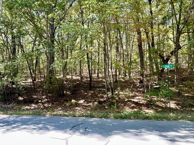 a view of a yard with large trees