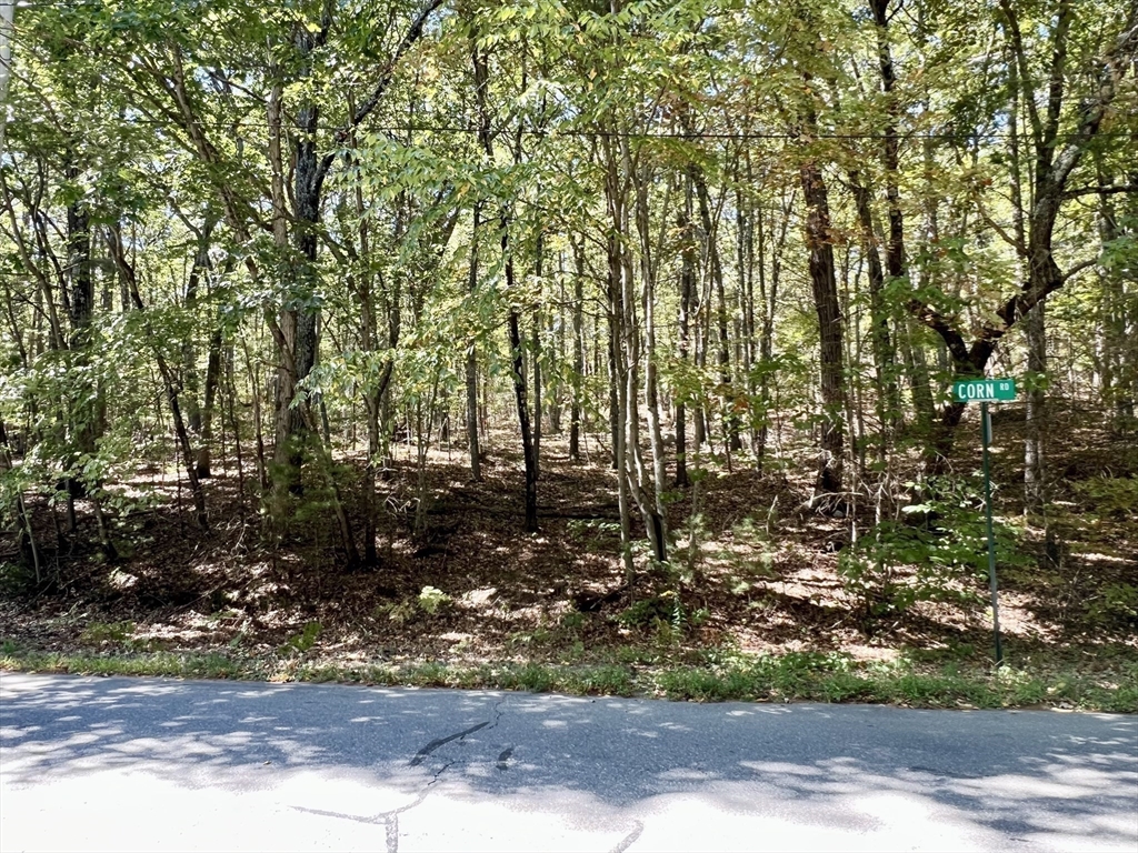 90 Corn Road Bolton, MA 01740 - Photo 9 of 11 a view of a yard with large trees