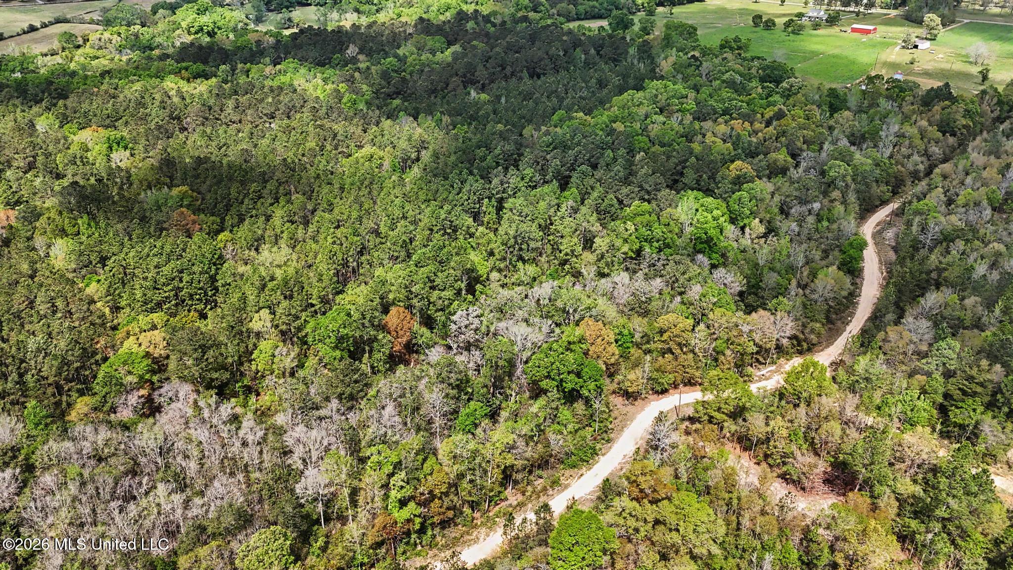 0 Pete Dixon Road Lucedale, MS 39452 - Photo 1 of 8 004