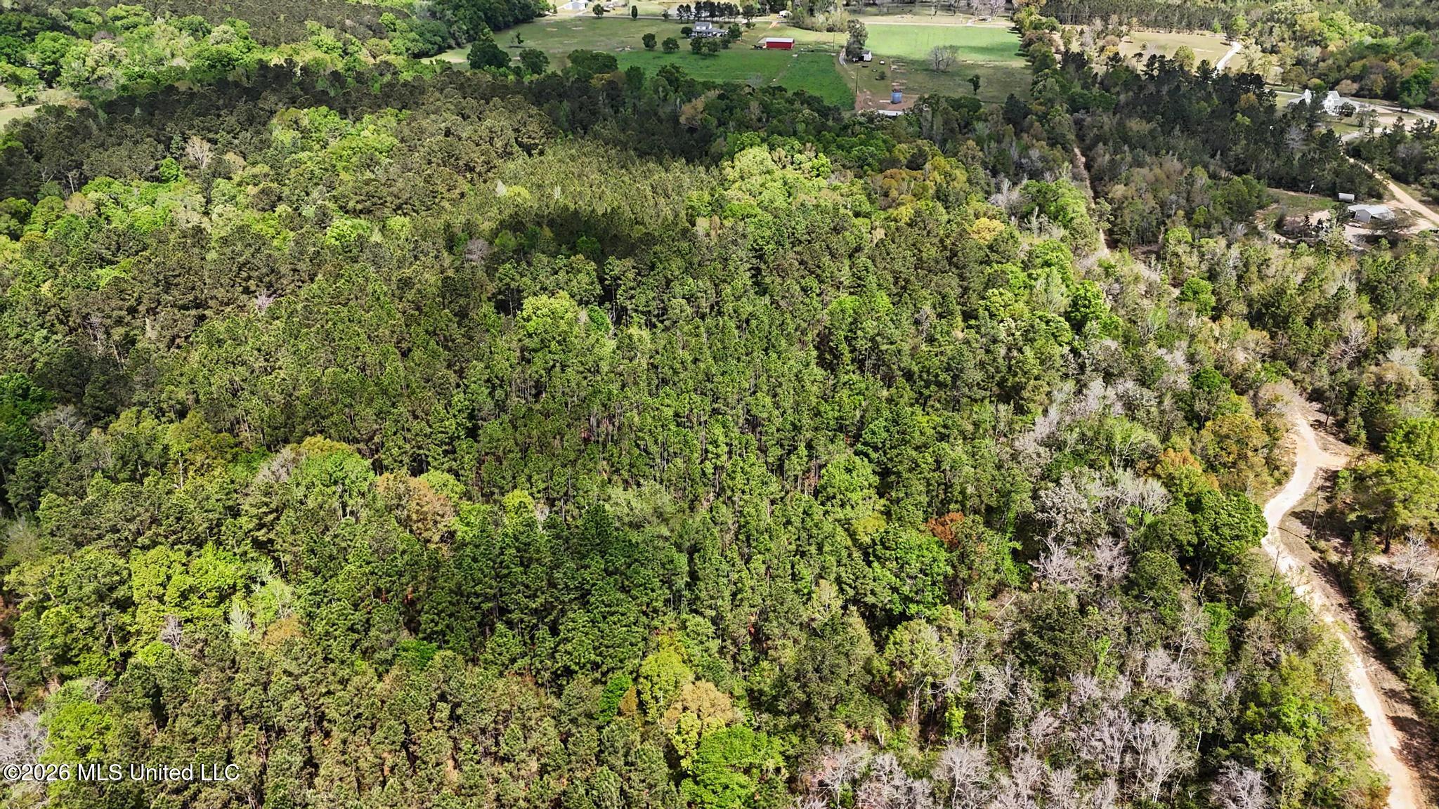 0 Pete Dixon Road Lucedale, MS 39452 - Photo 2 of 8 005