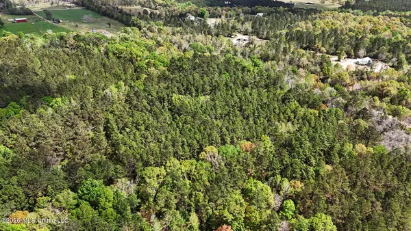 $215,000 | 0 Pete Dixon Road, Lucedale, MS 39452