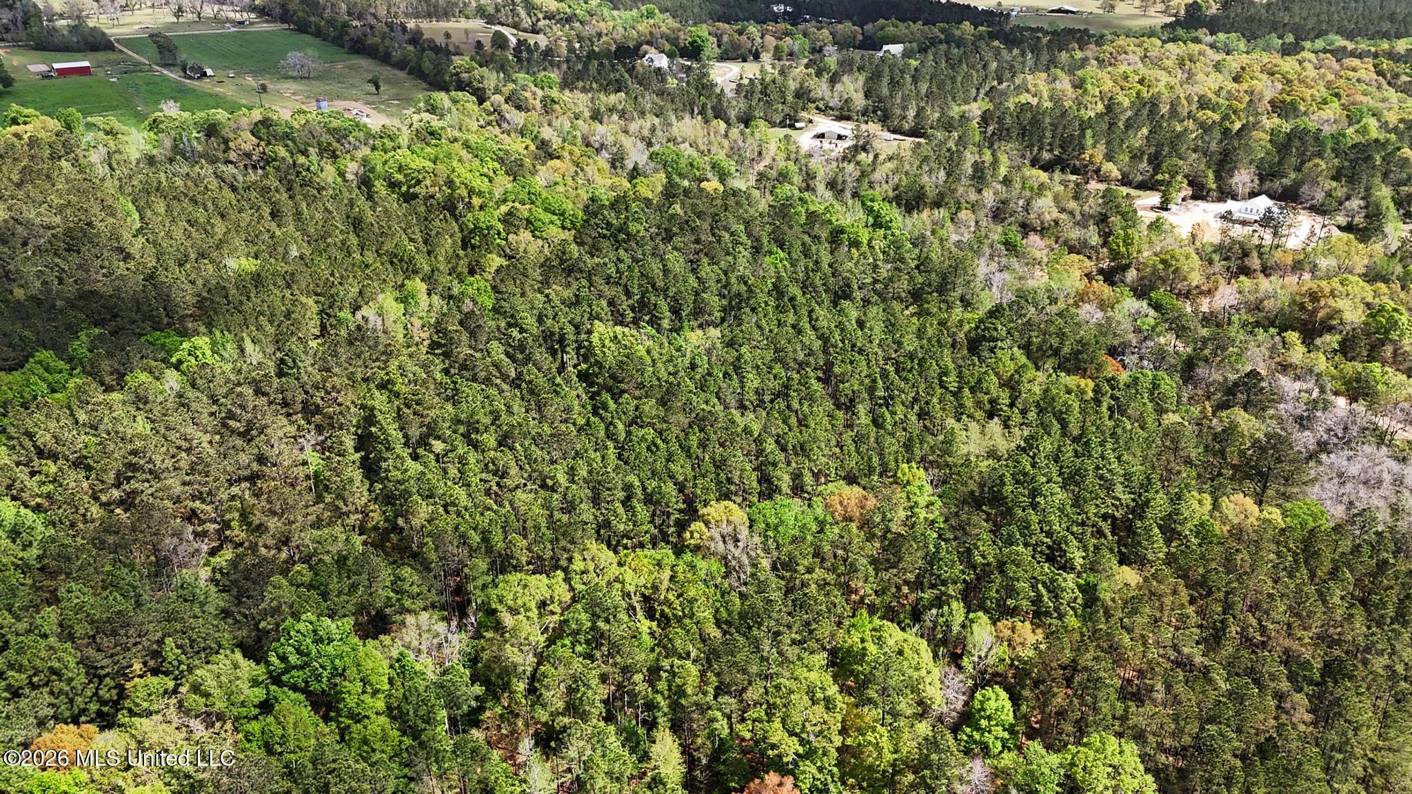 0 Pete Dixon Road Lucedale, MS 39452 - Photo 3 of 8 006