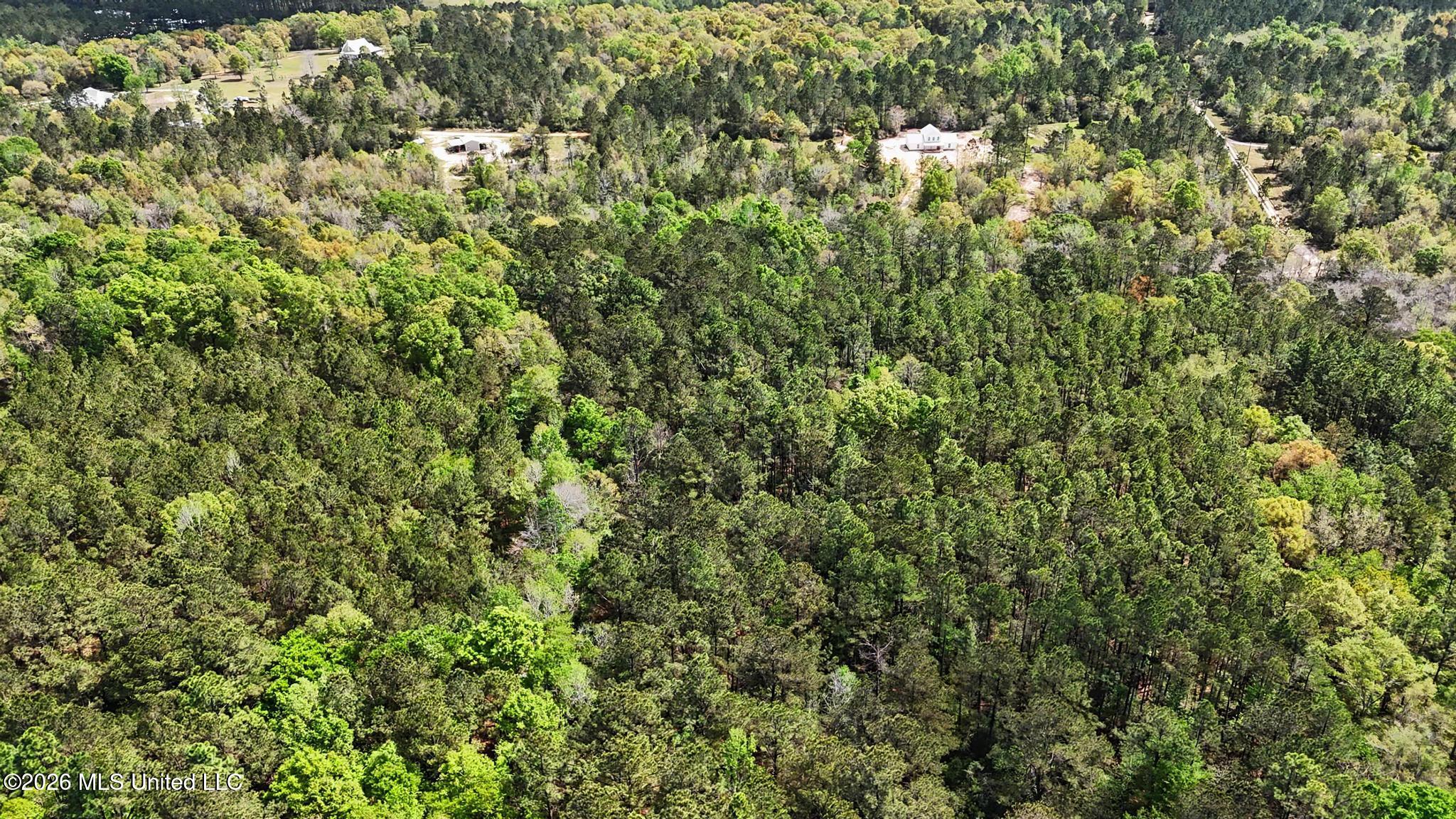 0 Pete Dixon Road Lucedale, MS 39452 - Photo 4 of 8 007