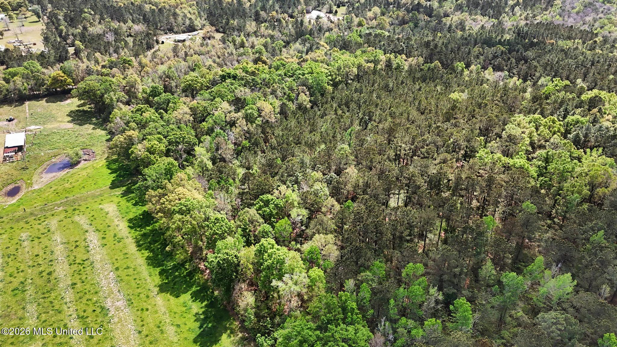 0 Pete Dixon Road Lucedale, MS 39452 - Photo 5 of 8 008