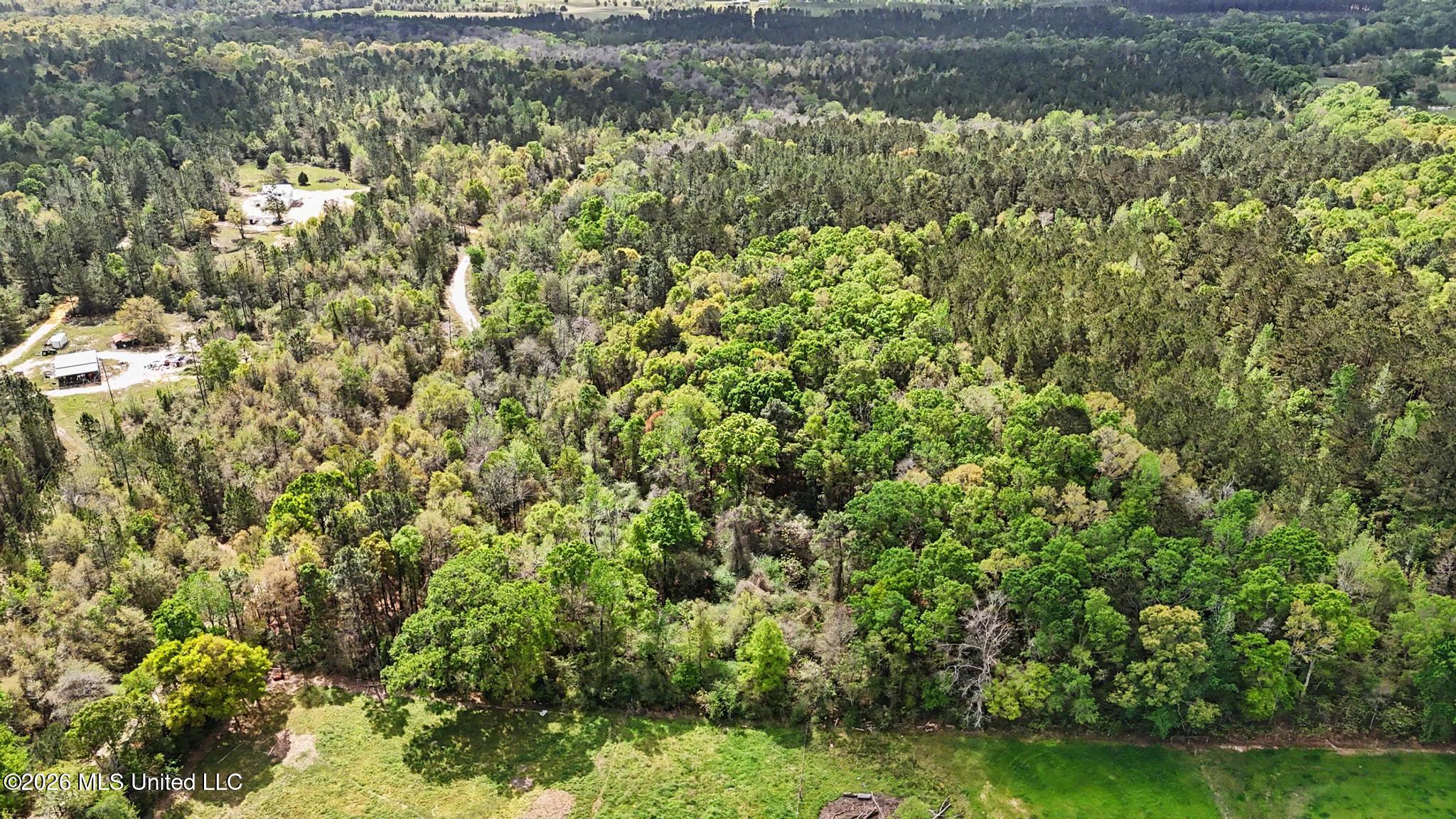 0 Pete Dixon Road Lucedale, MS 39452 - Photo 6 of 8 001