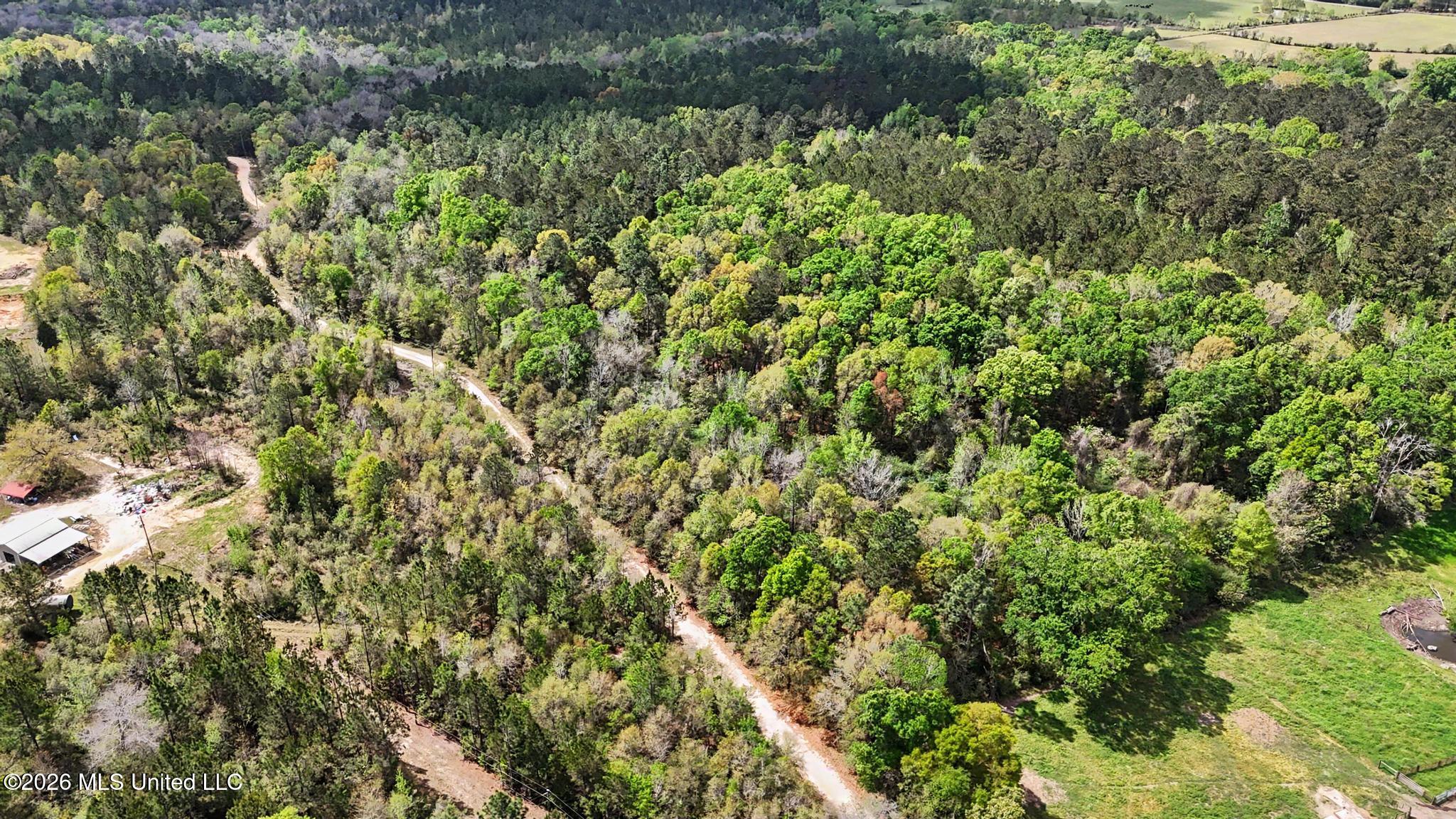 0 Pete Dixon Road Lucedale, MS 39452 - Photo 7 of 8 002