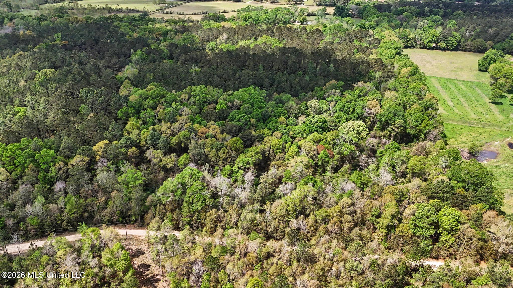 0 Pete Dixon Road Lucedale, MS 39452 - Photo 8 of 8 003