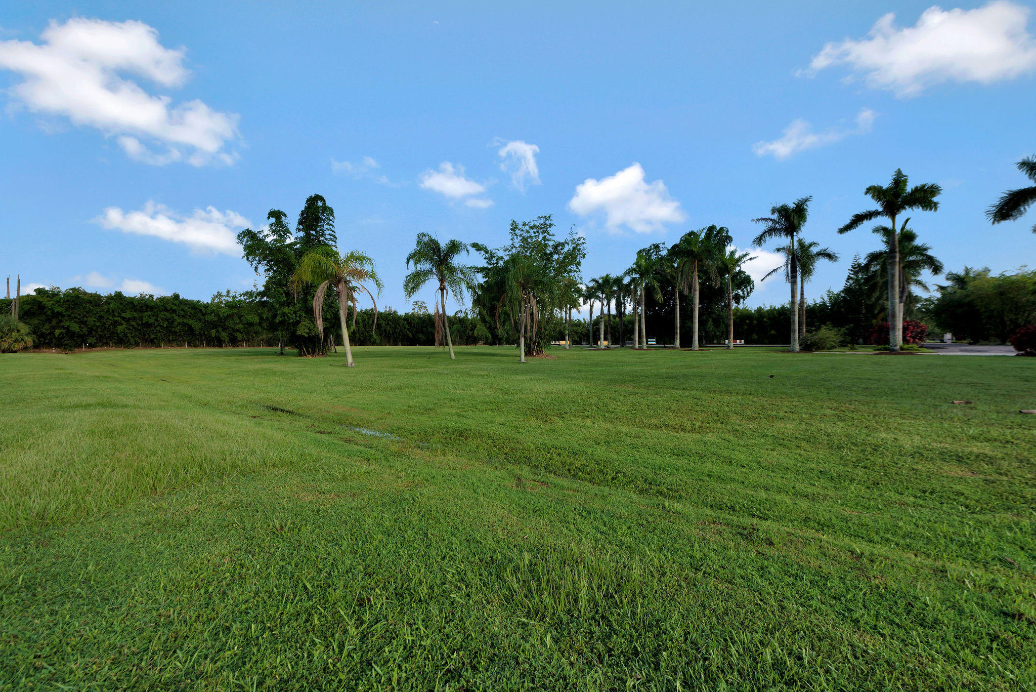 2269 B Road Loxahatchee Groves, FL 33470 - Photo 78 of 102 GRASSY PASTURE