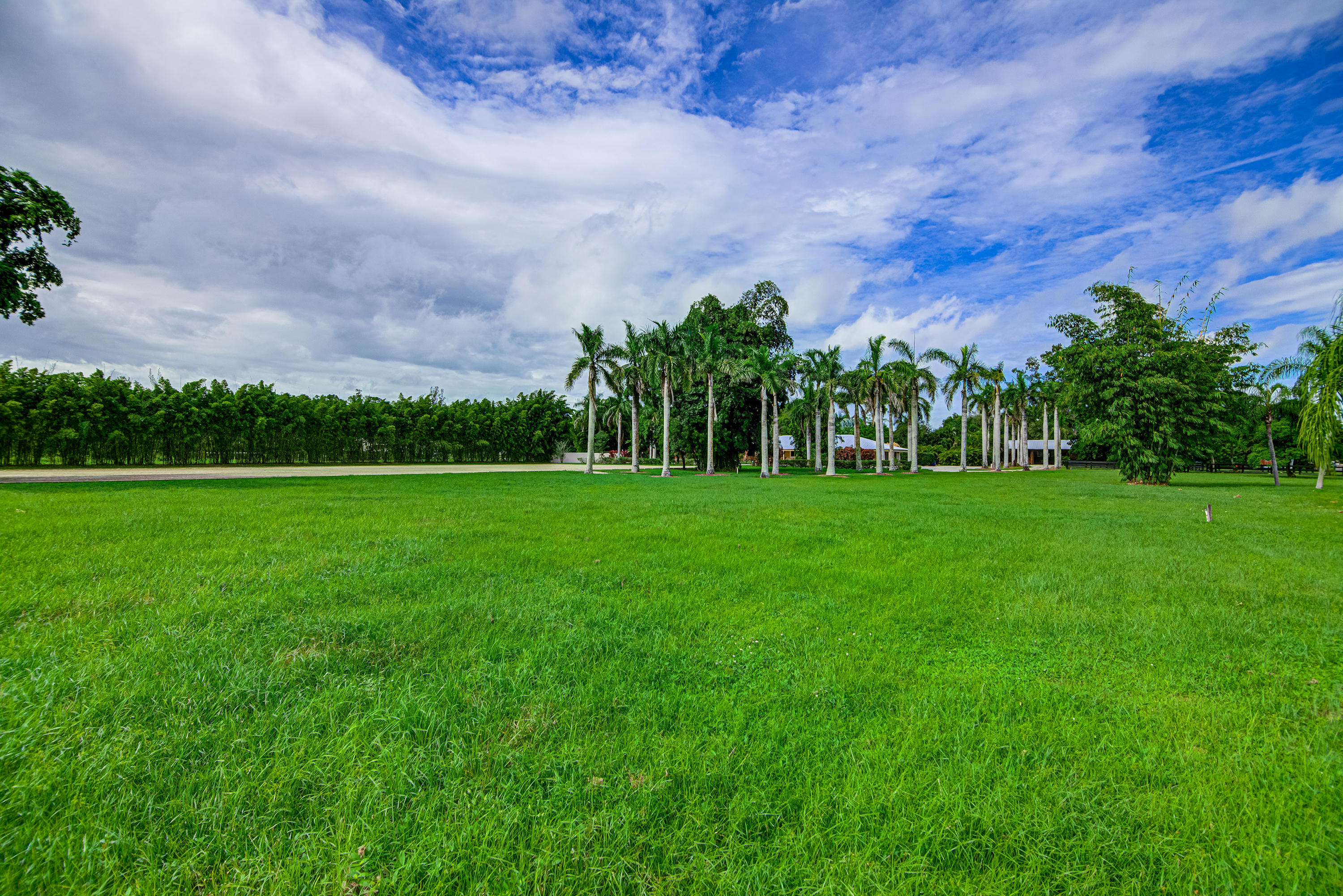 2269 B Road Loxahatchee Groves, FL 33470 - Photo 80 of 102 GRASSY PASTURE