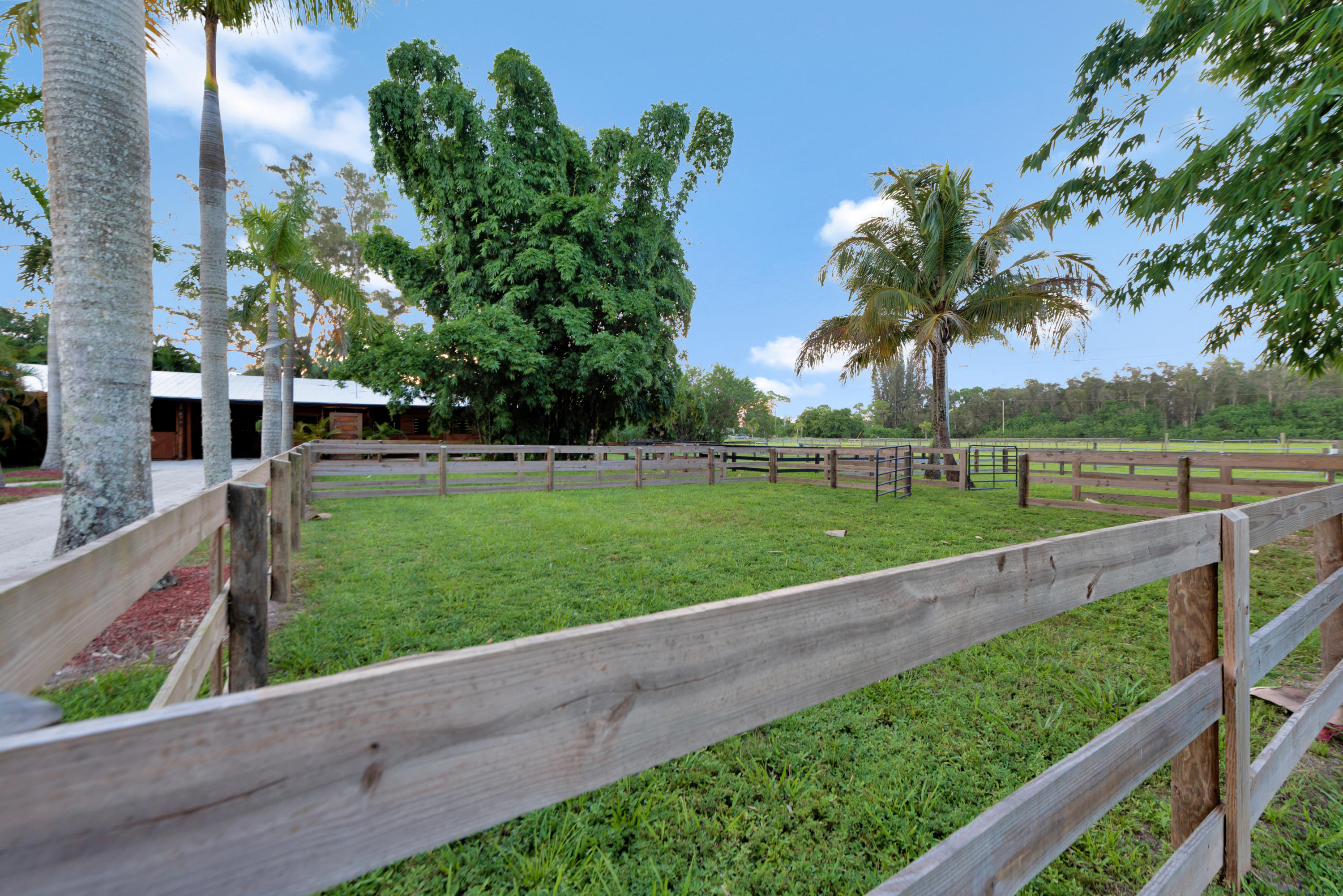 2269 B Road Loxahatchee Groves, FL 33470 - Photo 81 of 102 PADDOCKS