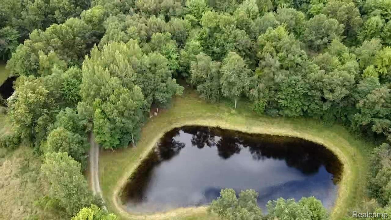 4322 Hough Road Dryden, MI 48428 - Photo 13 of 46 4322 Hough aerial pond trees.jpg