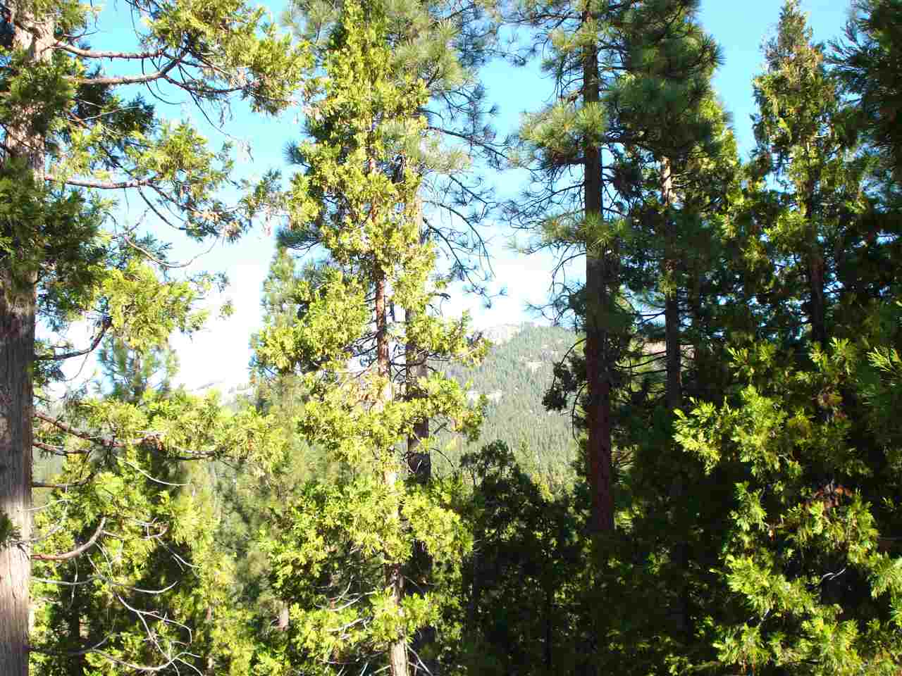 2155 Grizzly Ranch Road Portola, CA 96122 - Photo 3 of 9 Gallery Image 3