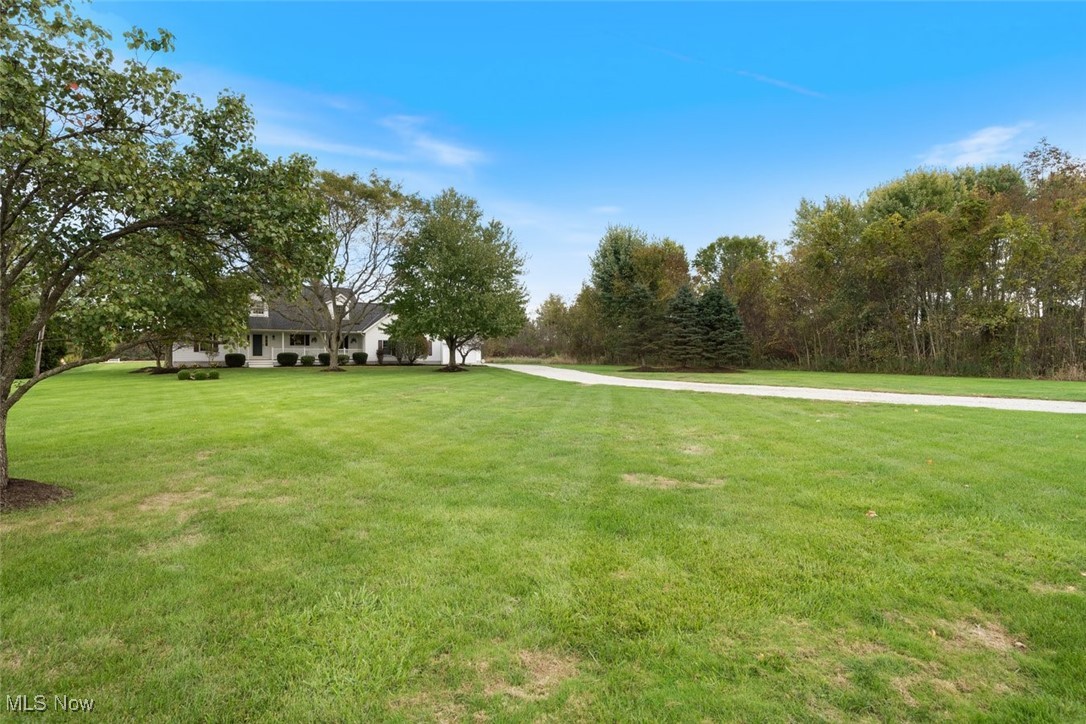 891 Station Road Valley City, OH 44280 - Photo 7 of 45 View of yard