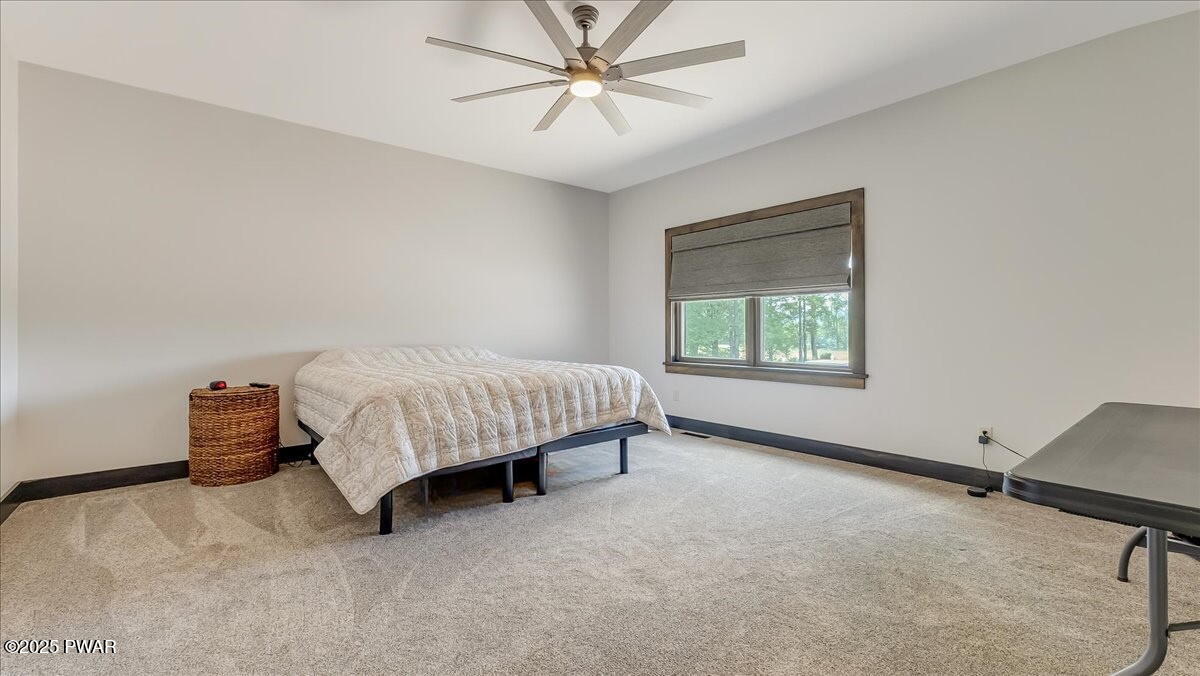 259 Ayoub Road Pleasant Mount, PA 18453 - Photo 46 of 144