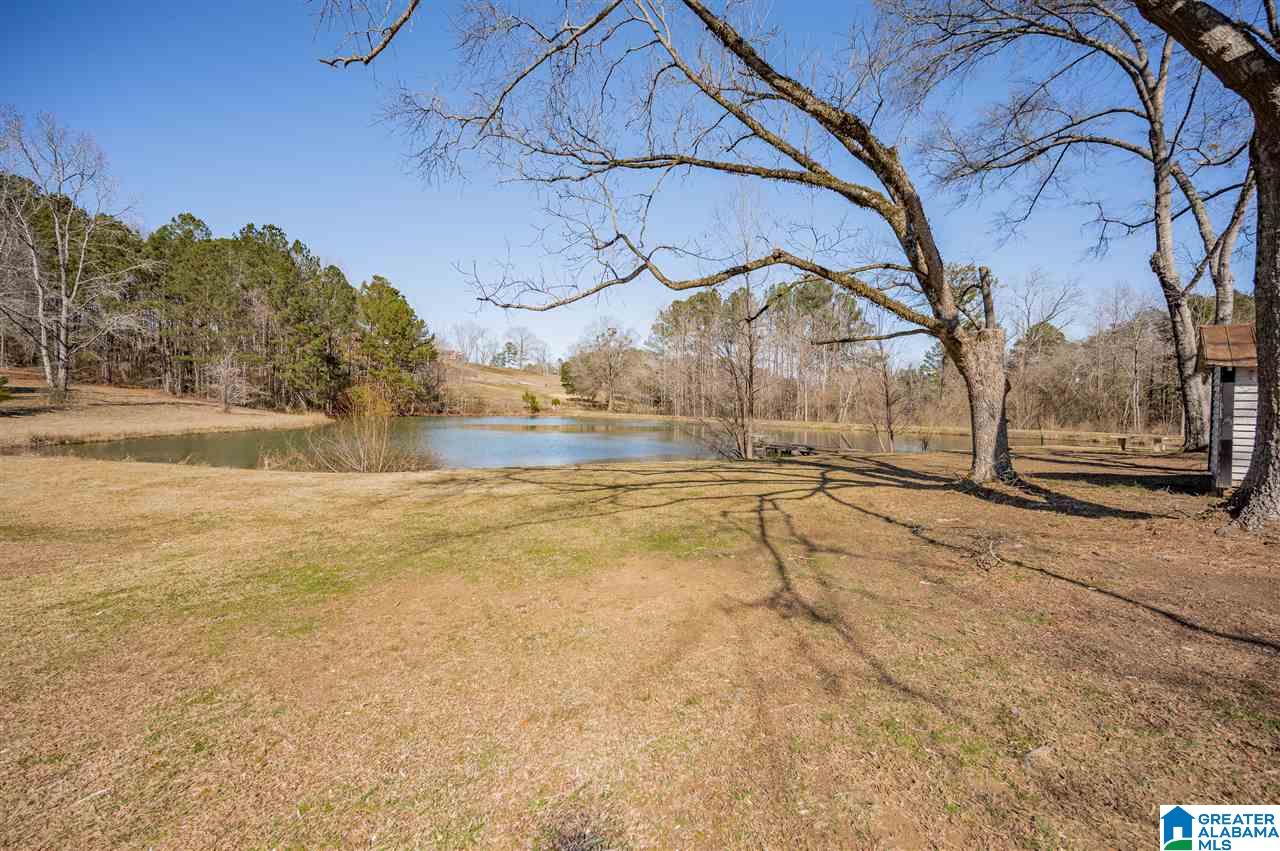 145 Garner Road Trussville, AL 35173 - Photo 33 of 36 Gallery Image 33