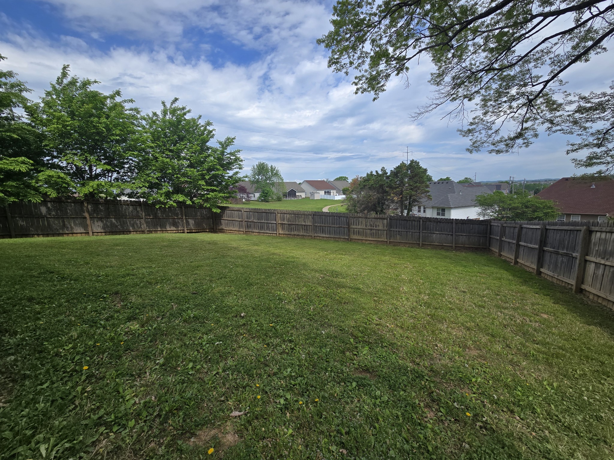 8007 Tiger Court Spring Hill, TN 37174 - Photo 15 of 17