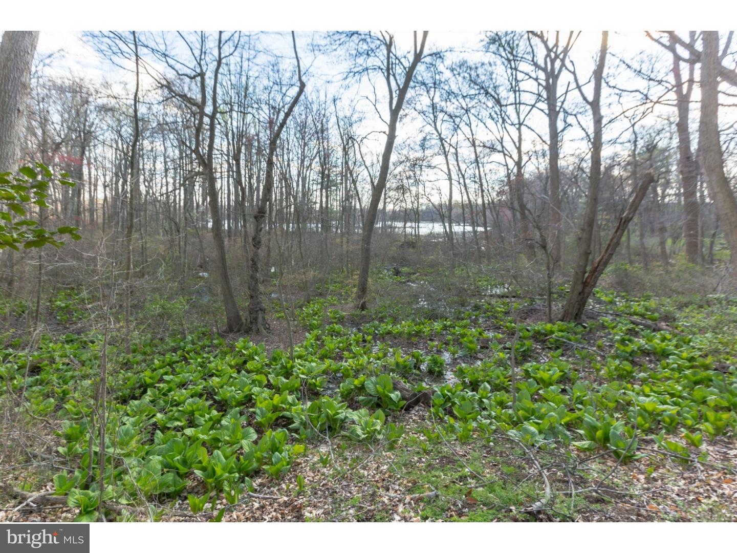 550 Lumberton Road Hainesport, NJ 08036 - Photo 25 of 25 Gallery Image 25