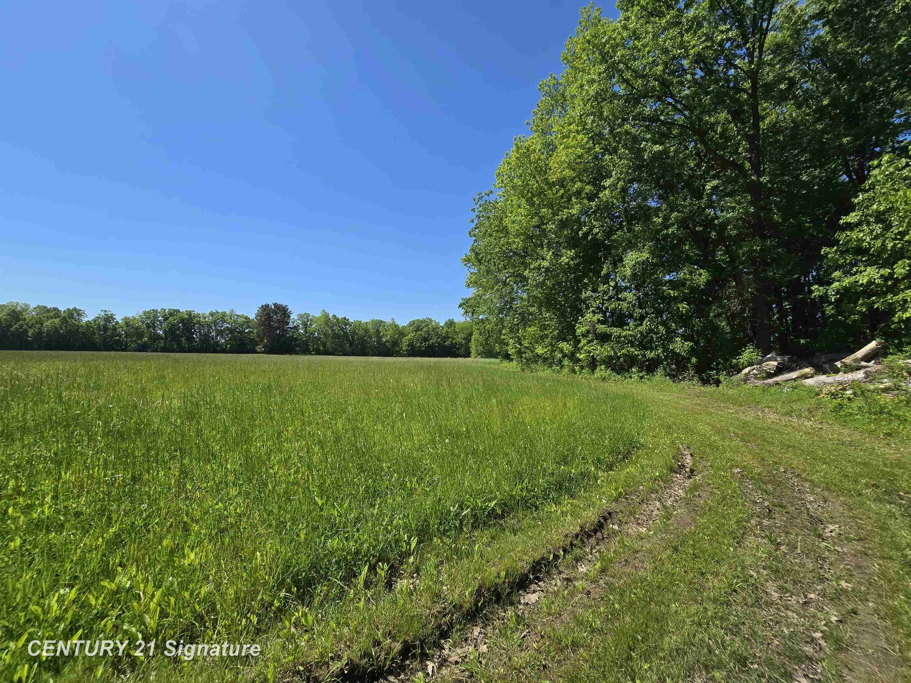 1162 East Farrand Road Clio, MI 48420 - Photo 76 of 88