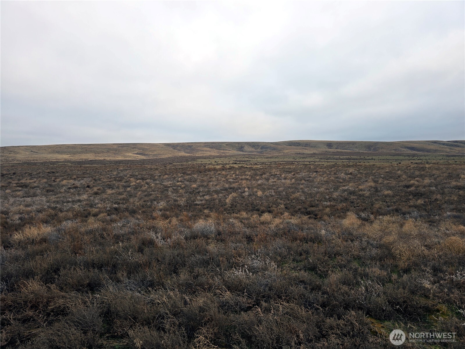4200 Wadsworth Road Washtucna, WA 99371 - Photo 24 of 28