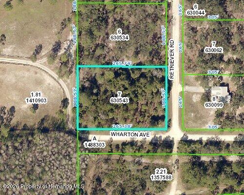 0 Retriever Road Weeki Wachee, FL 34614 - Photo 1 of 2