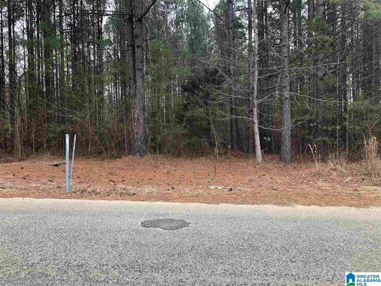 4040 Sportsman Lake Road, Unit 1 Odenville, AL 35120 - Photo 8 of 11