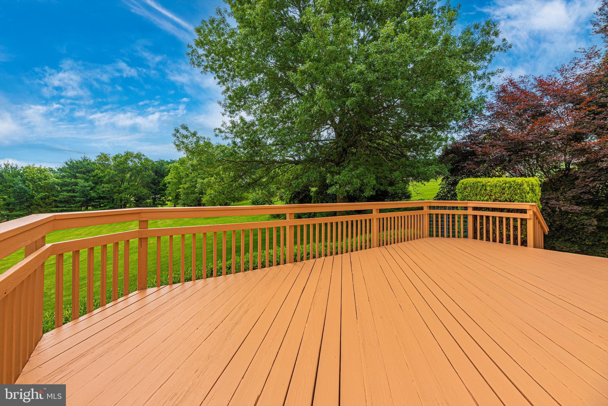 3205 Kemptown Church Road Monrovia, MD 21770 - Photo 32 of 41 Incredible Views of Your Spacious Yard