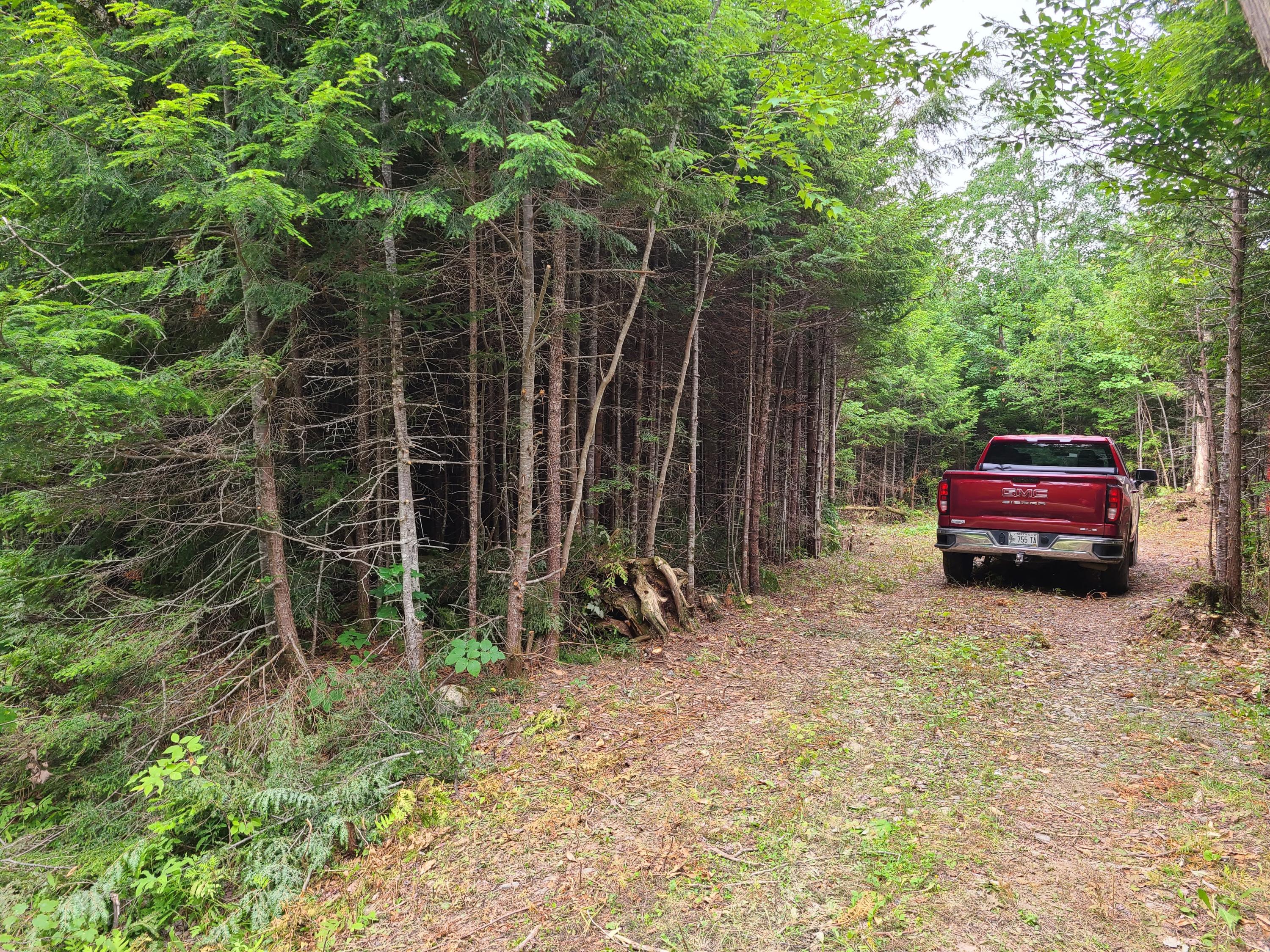 L37 A Fire Road Linneus, ME 04730 - Photo 8 of 25 20210712_102223
