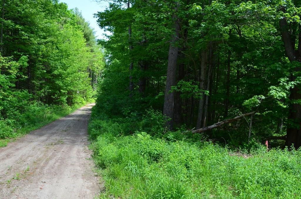 0 Bailey Road Alna, ME 04535 - Photo 2 of 4 Photo