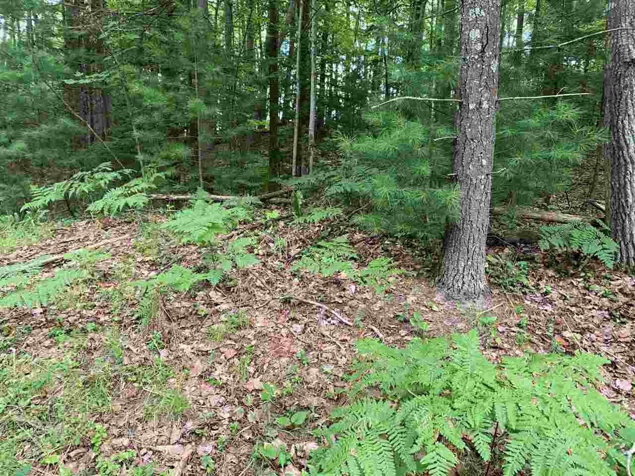 14810 Winters Road Kewadin, MI 49648 - Photo 6 of 8