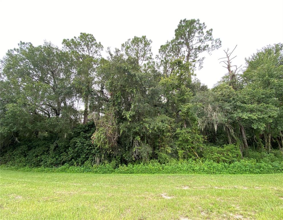 Lithia Pinecrest Road Valrico, FL 33596 - Photo 1 of 1 a view of a field with a trees in the background