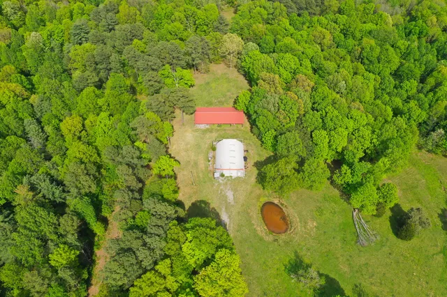 a bird view of a garden