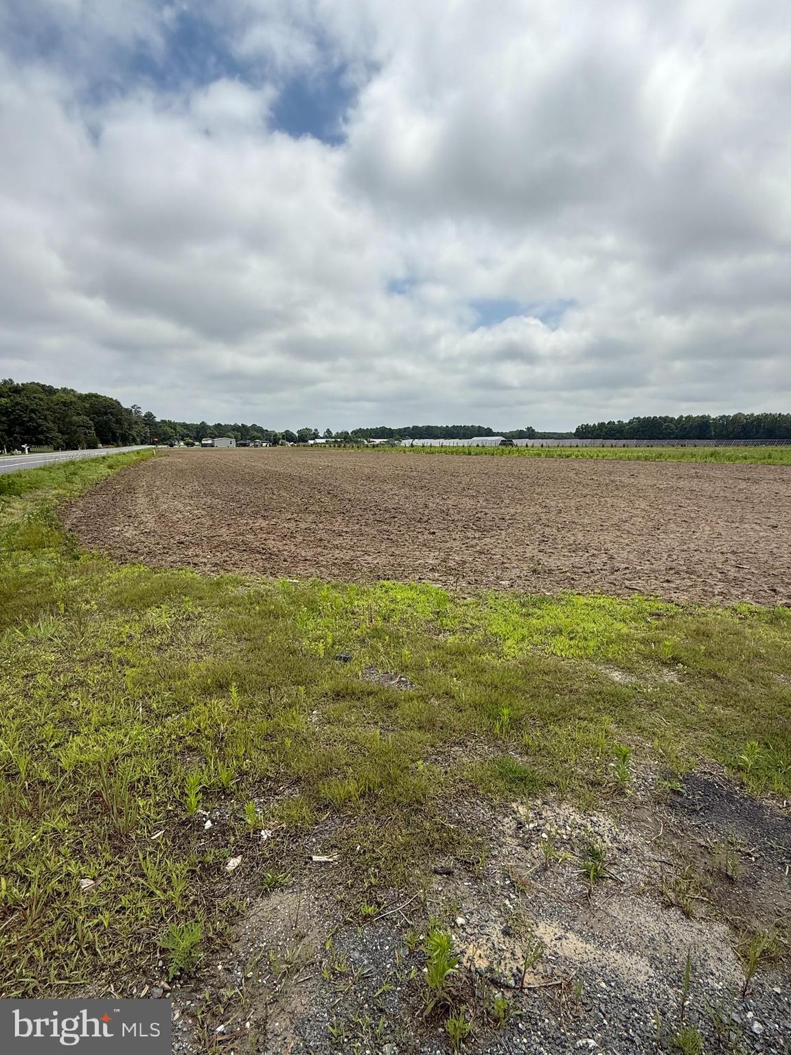 Moreland Lane Georgetown, DE 19947 - Photo 4 of 5